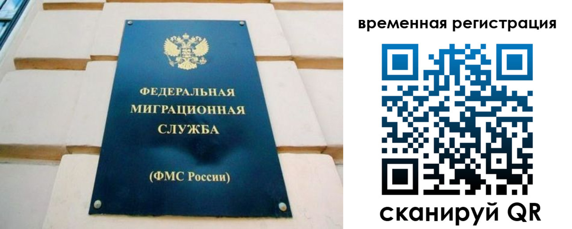 прописка гарантия в Геленджике
